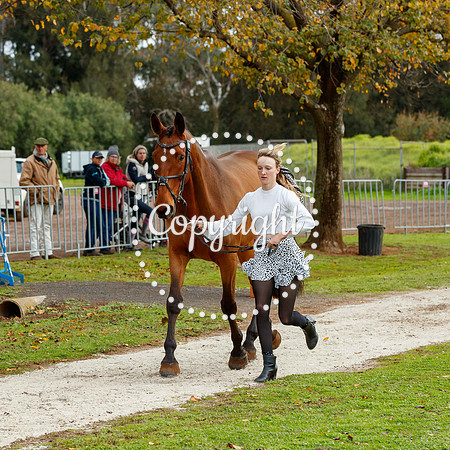 A72I3059