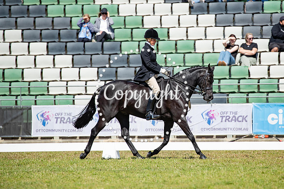A72I1982-1