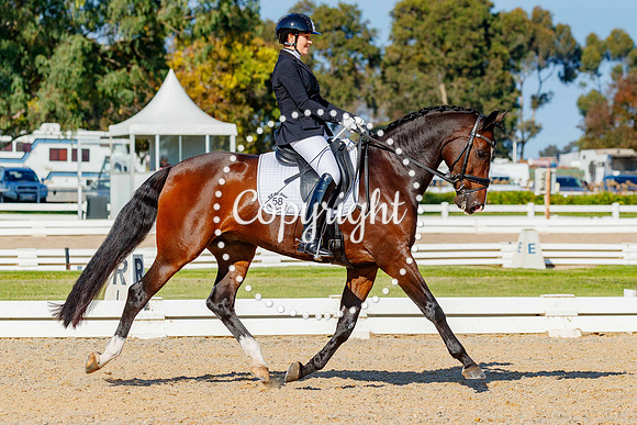 A72I2099