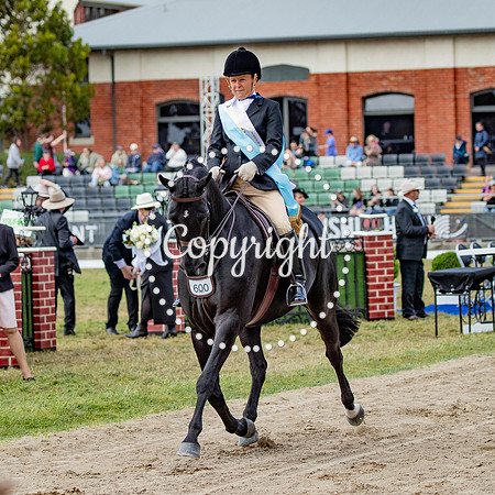 A72I5517-3