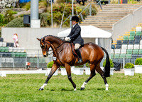 Rider 25  (Exhibit 1508) - Erin Bradshaw (43 Photos Online)