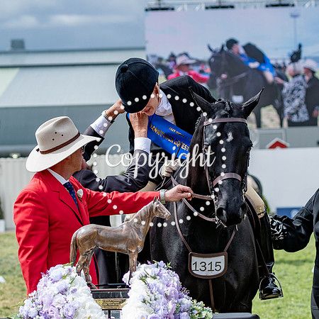 A72I6862-36