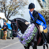 2025 Melbourne Royal Show