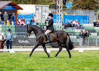 Rider (19) Alycia Hall (20 Photos Online)