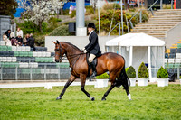 Rider (17) Hannah Bufton (37 Photos Online)