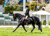 Rider (2) Georgina Batten (39 Photos Online)