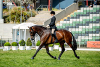 Rider (1) Jessica Dertell (37 Photos Online)