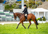 A72I3022-17