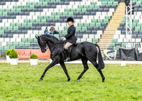 Rider (5) Hollie Hildebrandt (30 Photos Online)