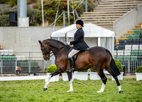 Rider (6) Melissa Gillies (26 Photos Online)