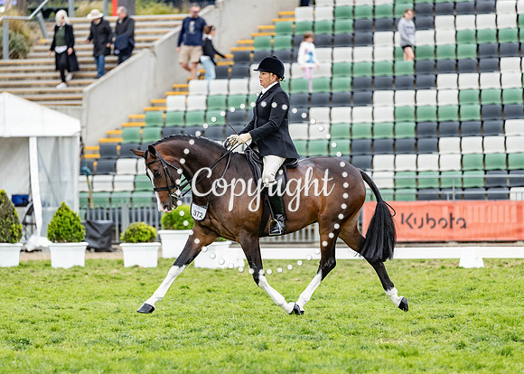 A72I3174-21