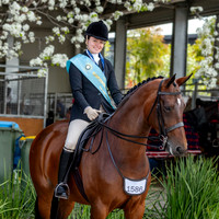 Rider (8) Arielle Stella (52 Photos Online