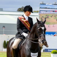 Rider (3) Elizabeth Crawford (43 Photos Online)