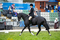 Rider (9) Shelley Howard (22 Photos Online)