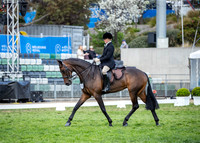 Rider (10) Olivia Greenwell (25 Photos Online)