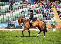Rider (14) Rebecca Phillips (27 Photos Online)
