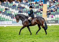 Rider (16) Sue Thompson (29 Photos Online)