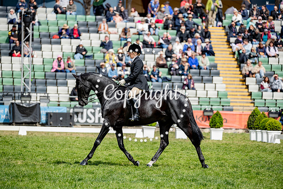 A72I4421-5