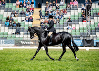 Rider (22) Margot Haynes (39 Photos Online)