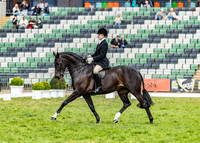 Rider (26) Lauren Ellery (57 Photos Online)