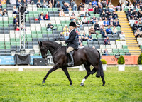 Rider (28) Sophia Redenbach