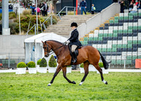 Rider (29) Chloe Smith (16 Photos Online)