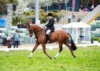 Rider (30) Kristin White (26 Photos Online)
