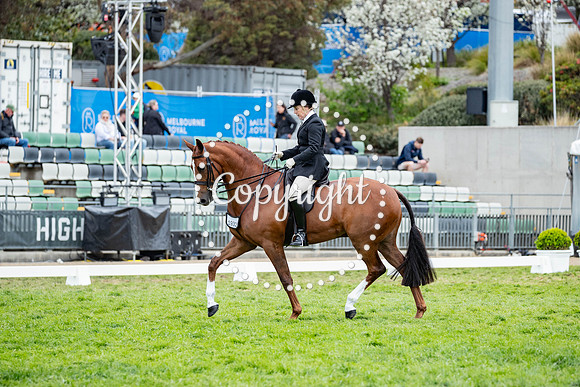 A72I5454-22
