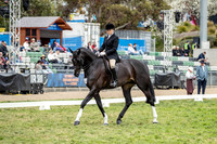 A72I5506-16