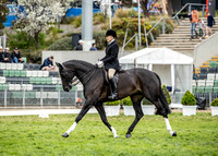 Rider (31) Jemima Draper Ryan (39 Photos Online)