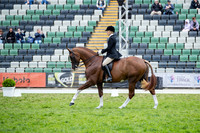Rider (33) Kate Halliday (33 Photos Online)