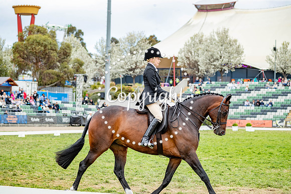 A72I6018-11
