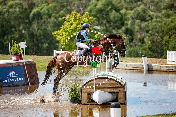 0H6A2975-2