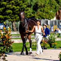 Wednesday 15 April 2026 (First Horse Inspection) (**All photos Online**)