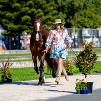 Thursday 16 April 2026 (Dressage & First Horse Inspection) (**All Photos Online**)