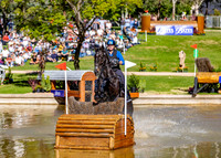 CCI3*-L (Rider 301 to 314) (All Photos Online)