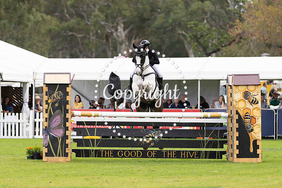 0B0A8242-540