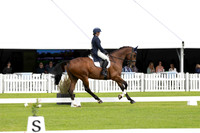 4 Star (Dressage) (Part 2) (All Photos Online)