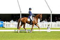 4 Star (Dressage) (All Photos Online)