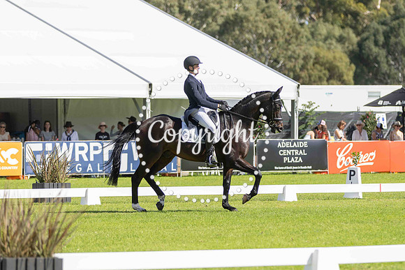 0B0A9880-9