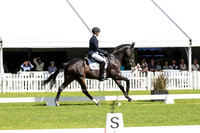 4 Star (Dressage) (Part 4) (All Photos Online)