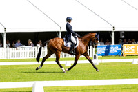 4 Star (Dressage) (Part 5) (All Photos Online)