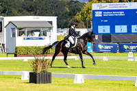 CCI5* (Dressage) (Part 1) (All Photos Online)