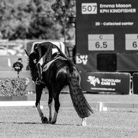 CCI5*​​ (Part 2) (All Photos Online)