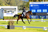 5 Star (Dressage) (All Photos Online)