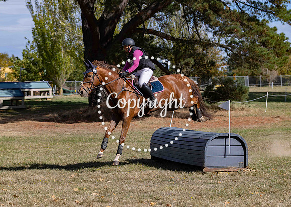 0B0A2370-86