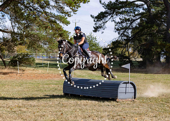 0B0A2945-271