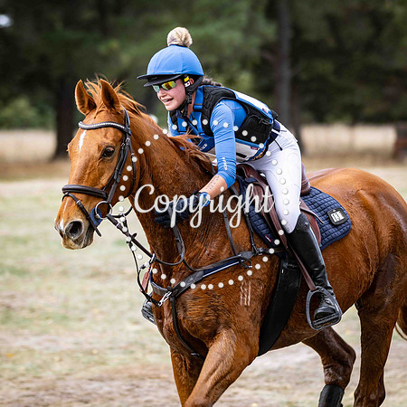 0B0A3782-72