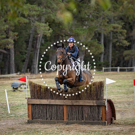 0B0A4119-178