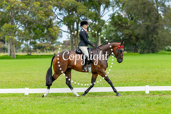 A72I4669